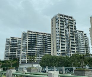 实景图
