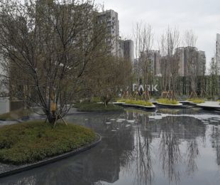 实景图