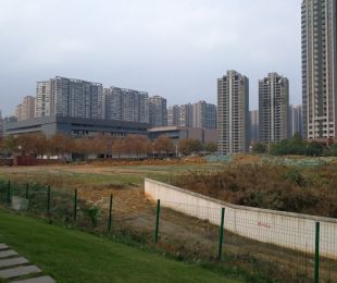 实景图