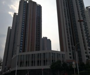 实景图