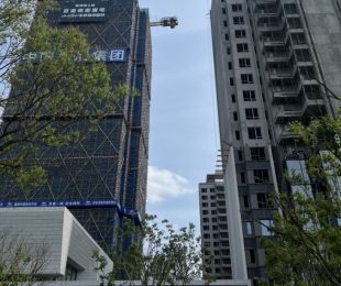 实景图