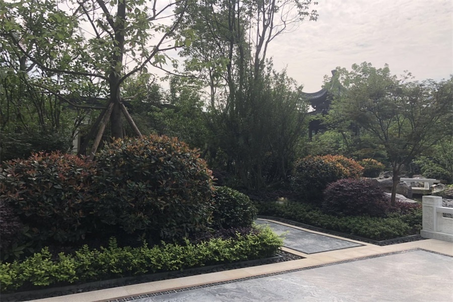 样板图