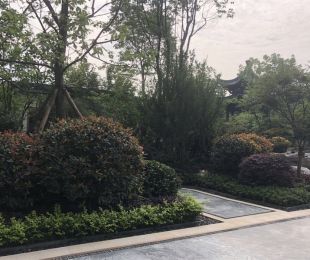 样板图