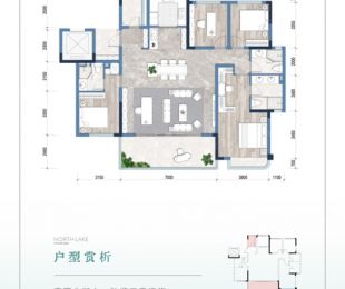 样板图