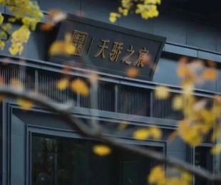 样板图