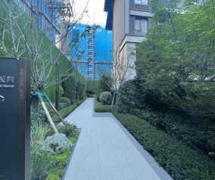 样板图