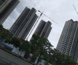 实景图