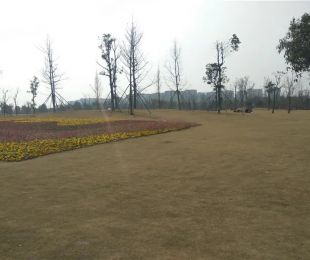 配套图