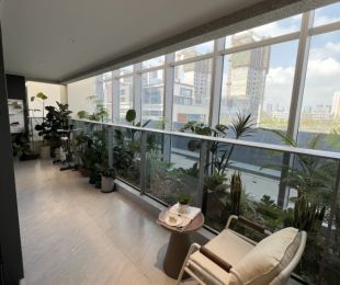 效果图