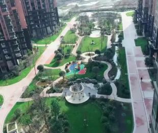 实景图
