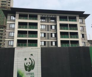 效果图
