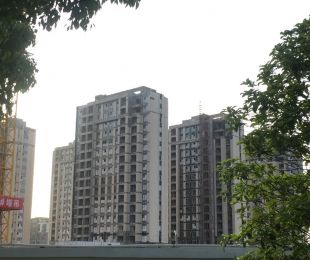 实景图