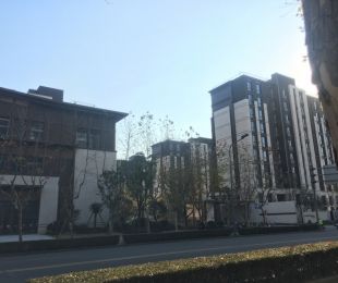 实景图