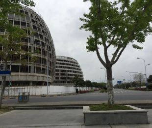 实景图