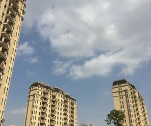 实景图