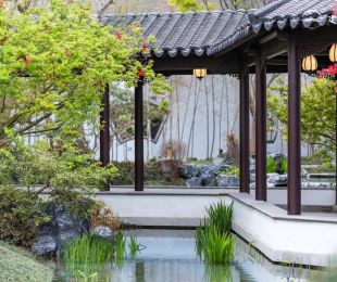 实景图