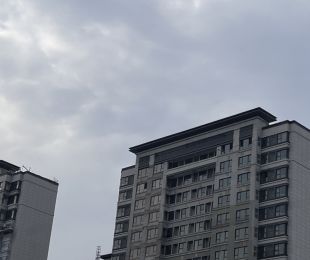 样板图