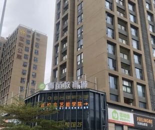 实景图