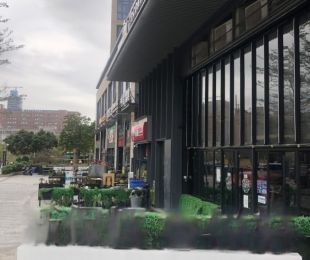 实景图