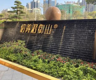 实景图