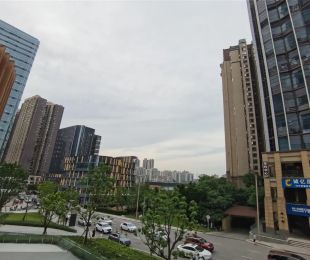 实景图