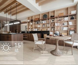 样板图