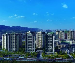 实景图