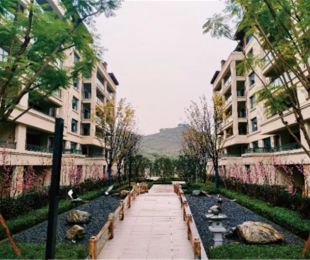 实景图