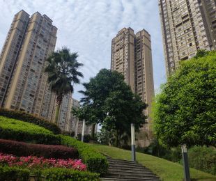 实景图