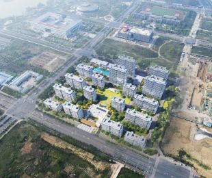 效果图