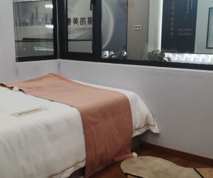 样板图