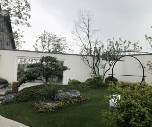 实景图